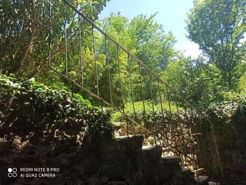 Maison de caractère au coeur des Cévennes Mialet