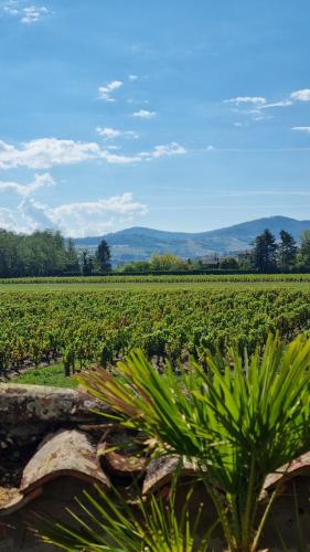 Maison de charme au cœur des vignes du Beaujolais