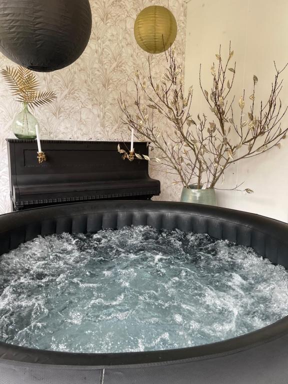 Maison de vacances Maison de charme avec jacuzzi 42 Rue Saint-Denis 41800 Montoire-sur-le-Loir