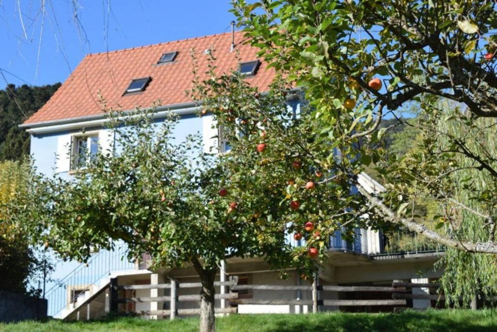 Maison de charme dans village provençal 26110 Vinsobres
