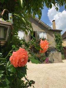 Maison de Gaby 2 étoiles tourisme 2 ou 4 Personnes