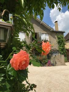 Maison de vacances Maison de Gaby 2 étoiles tourisme 2 ou 4 Personnes Le Port 24200 Vitrac Aquitaine