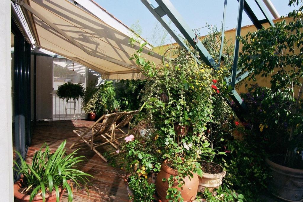 Maison de plain pied avec terrain de pétanque