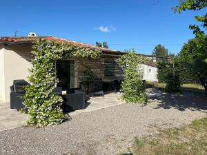Maison de plain pied avec terrain de pétanque