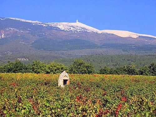maison de vacances mont ventoux