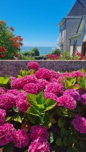 Maison de vacances vue mer