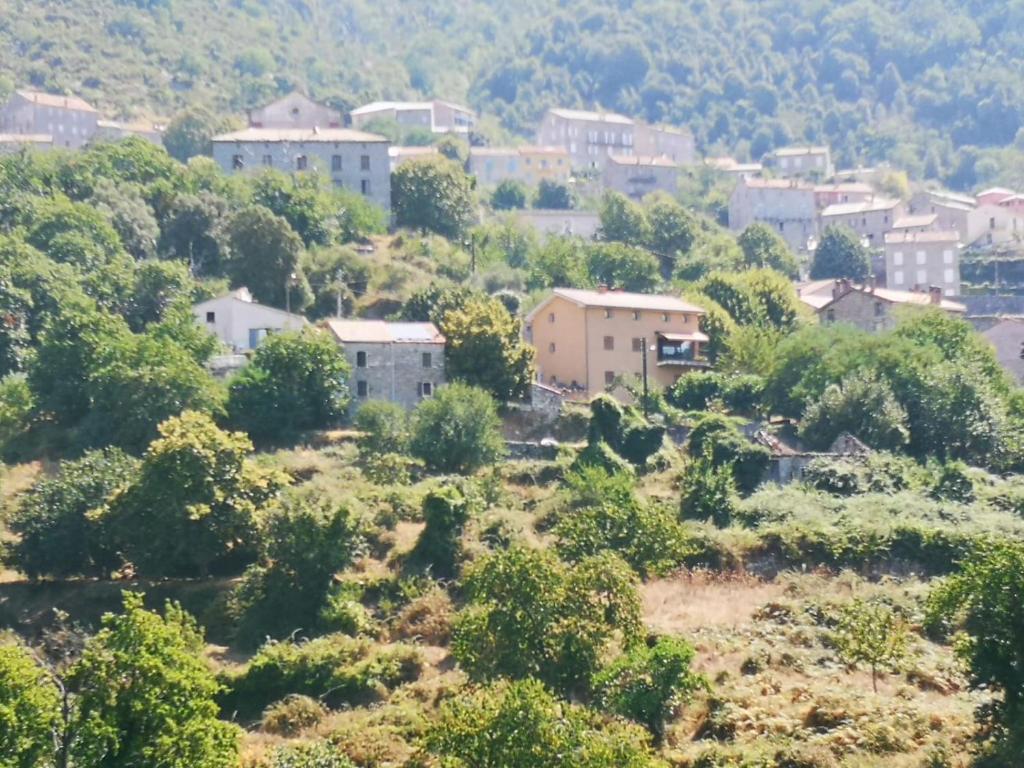 Maison de vacances Maison de village avec jardin privatif Quartier piazza 20132 Zicavo