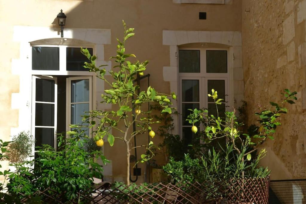 Maison des Pilastres au cœur d'Auxerre 4 Rue Capitaine Coignet, 89000 Auxerre