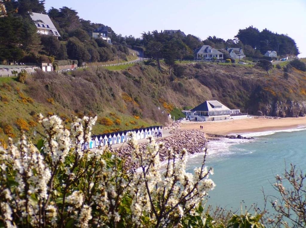 Maison des rêves à 700m de la mer Chemin des Mielles, 50270 Barneville-Carteret