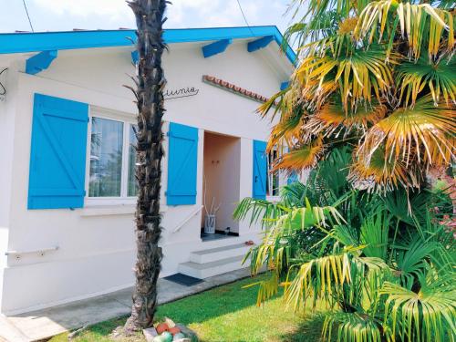 Maison Dziunia Jardin Terrasse ok