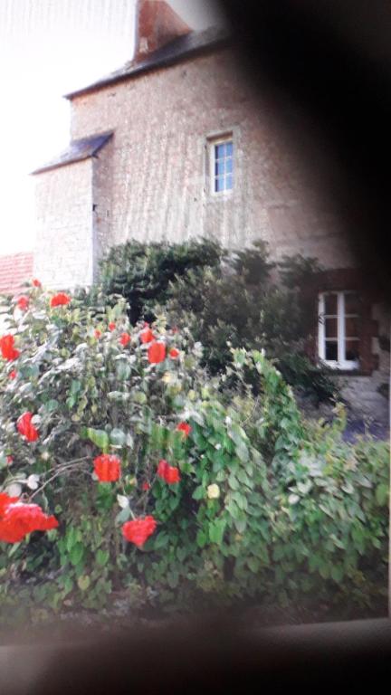 Maison Eli mit 2 Appartments