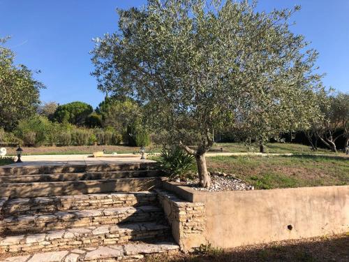 Maison entre vignes et Luberon