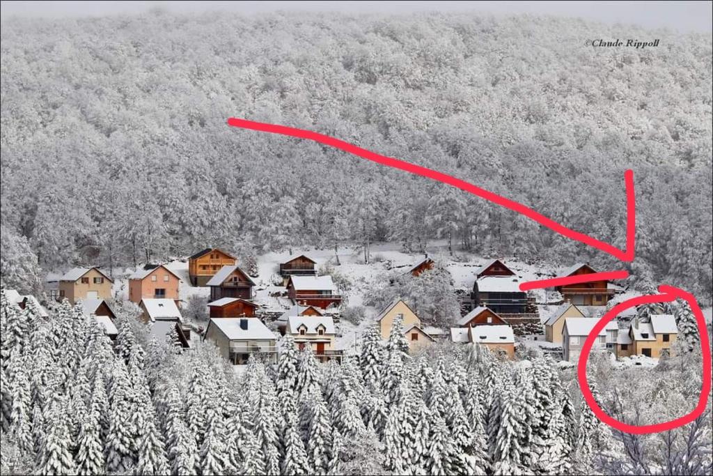 maison forêt d'Aubrac , au coeur de la nature 20 hameau du bois d'Aubrac Brameloup Prades d'Aubrac, 12470 Prades-dʼAubrac