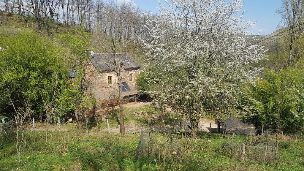 Maison de vacances maison isolée dans les vignes et les bois les crestes.Le Bosc 12330 Valady