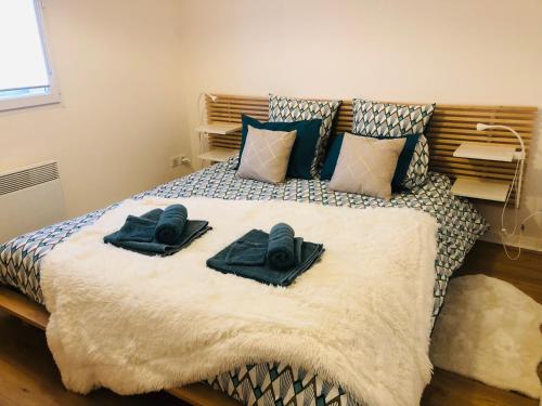 Maison La Baliere,2 chambres,5 personnes, à 20 minutes du Puy du Fou