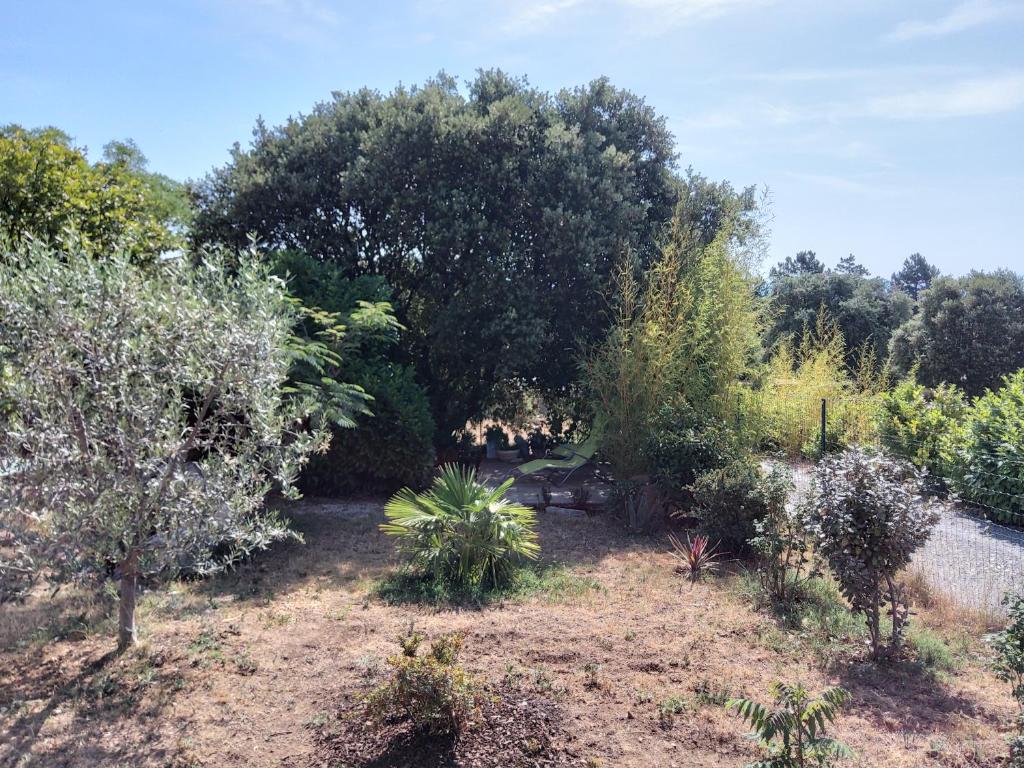 Maison La Tour-d'Auvergne, 3 pièces, 4 personnes - FR-1-667-31