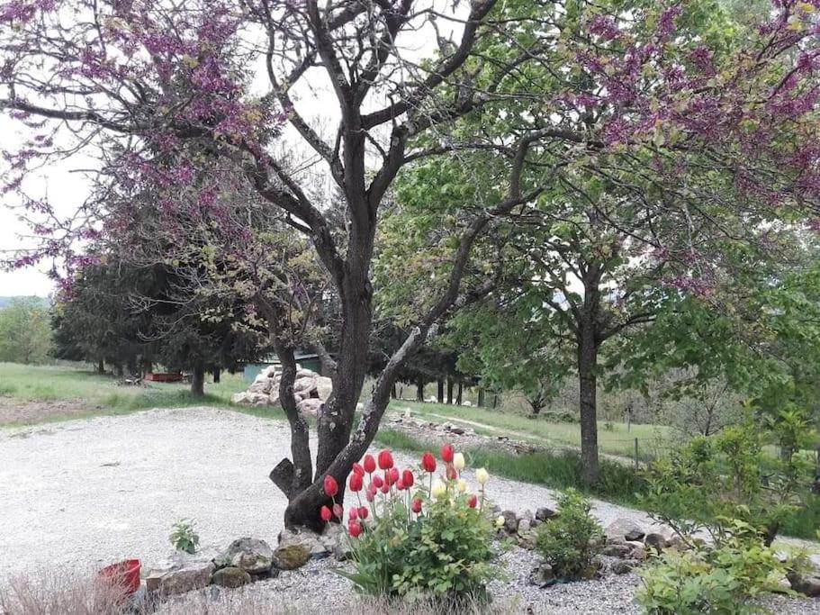 Maison La Tranche-sur-Mer, 5 pièces, 8 personnes - FR-1-22-339 85360 La Tranche-sur-Mer