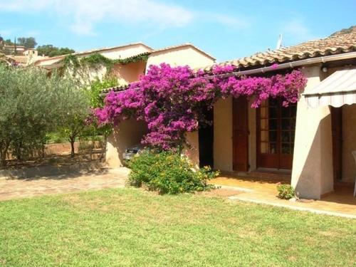 Maison Le Lavandou, 3 pièces, 6 personnes - FR-1-251-46