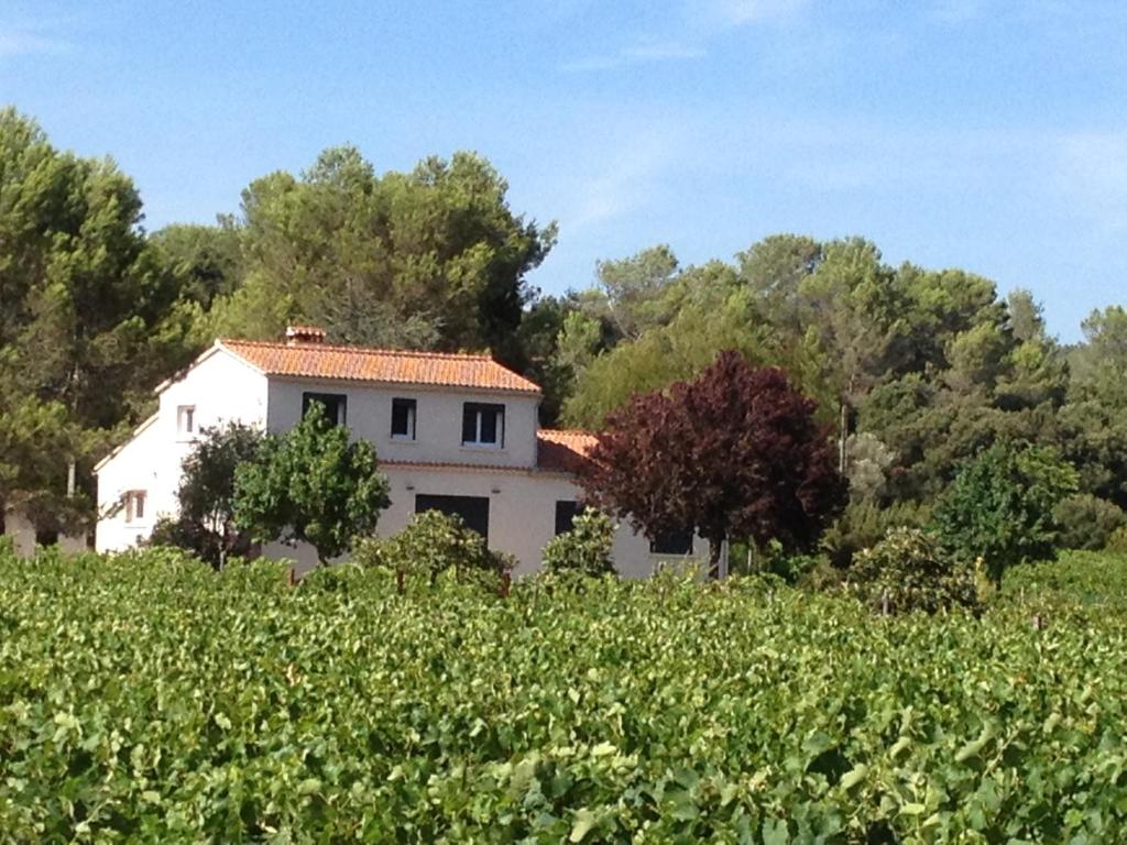 Maison Loubiere LE SAINT PIERRE, 83790 Pignans