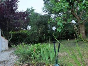 Maison Noirmoutier-en-l'Île, 4 pièces, 6 personnes - FR-1-224B-164