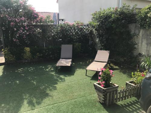 MAISON PALOMA