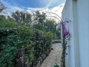 Maison Porto-Vecchio, 4 pièces, 8 personnes - FR-1-62-144