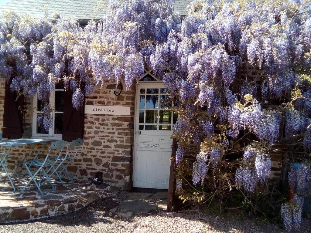 Maison près de la mer