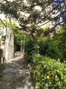 MAISON RDC AVEC JARDIN départs et arrivées les samedis