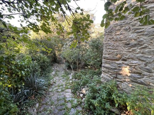 Maison Sorède, 4 pièces, 6 personnes - FR-1-309-358