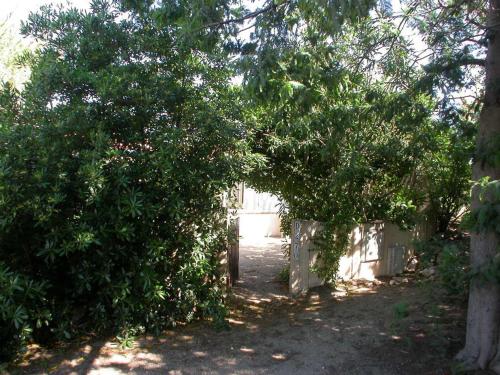 Maison Torreilles, 3 pièces, 4 personnes - FR-1-530-22