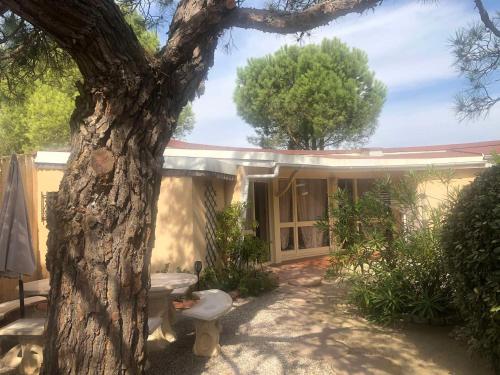 Maison Torreilles, 3 pièces, 4 personnes - FR-1-530-59