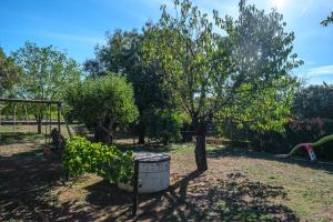 Maison de vacances Maison tout confort avec piscine 12 Rue Jean Polycarpe 81000 Albi Midi-Pyrénées