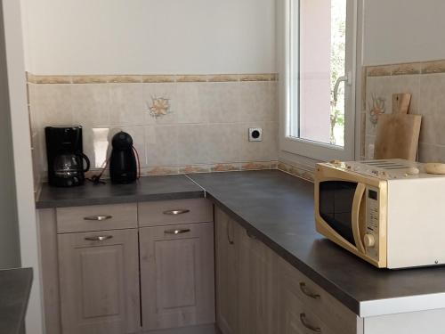 Maison Vendays-Montalivet, 4 pièces, 6 personnes - FR-1-648-69