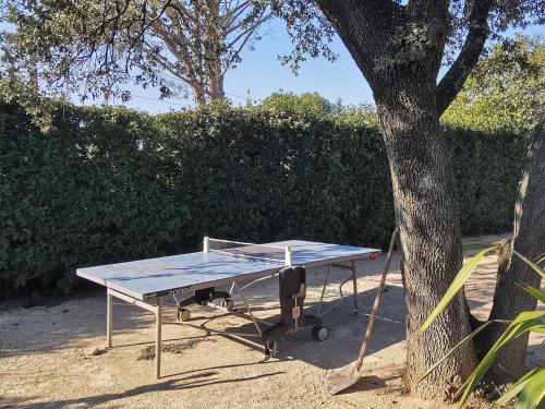 Maison Villeneuve-lès-Avignon, 5 pièces, 6 personnes - FR-1-698-11