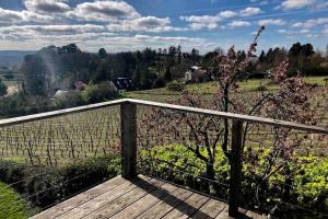 Maison vue panoramique depuis le coteau de Chinon