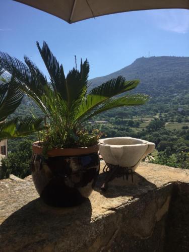Maisonette Palazzu Pigna
