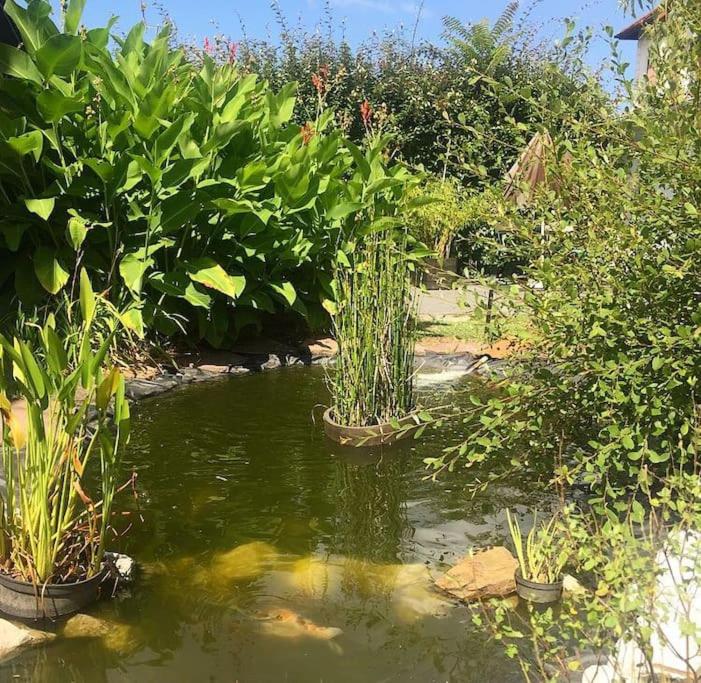 Maison de vacances Maisonnette climatisé, plage à 5mn, pour 2 personnes 13 Impasse des Mésanges 40530 Labenne