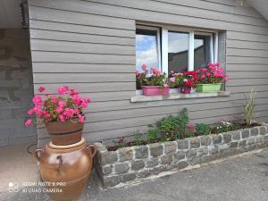 Maisonnette indépendante 4 personnes jardin terrasse