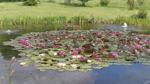 Manoir de La Brunie-Grand Longere