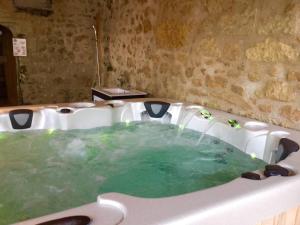 Maison de vacances Manoir - Gîte avec Spa pour 10 p. Les Essards 2 route de Saint Michel 37130 Langeais Région Centre