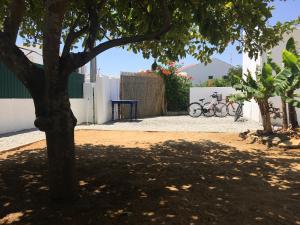 MantaGarden