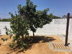 MantaGarden