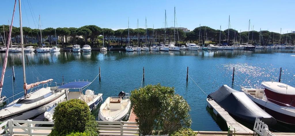 Maison de vacances Marina Lairan View of the water and the boats of Port Camargue 96 Avenue Dumont d'Urville Résidence : Marina Lairan 30240 Le Grau-du-Roi