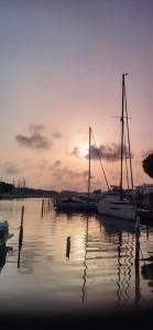 Marina Sunset