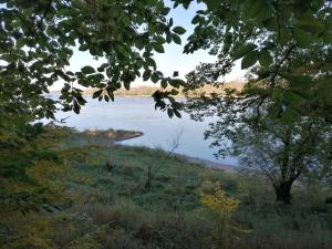 Marinas Elbkate