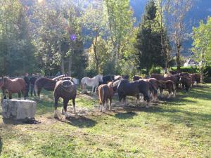 Maison de vacances Marioutat Rue du Pradot 65400 Arrens-Marsous Midi-Pyrénées