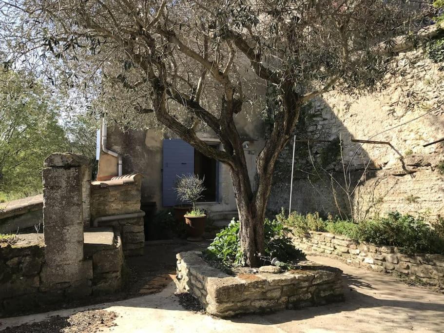 Mas ancien à Uzès 63 Chemin des Boucarudes, 30700 Uzès