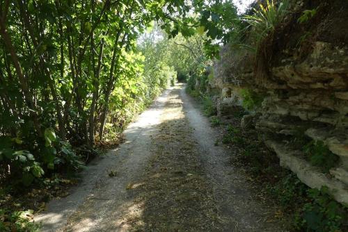 Mas ancien à Uzès