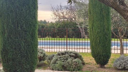Mas de Cesar, gite avec jacuzzi et piscine