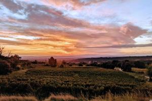 Maison de vacances Mas de vigneron, en Drôme provencale La Bouvaude 26770 Rousset-les-Vignes Rhône-Alpes